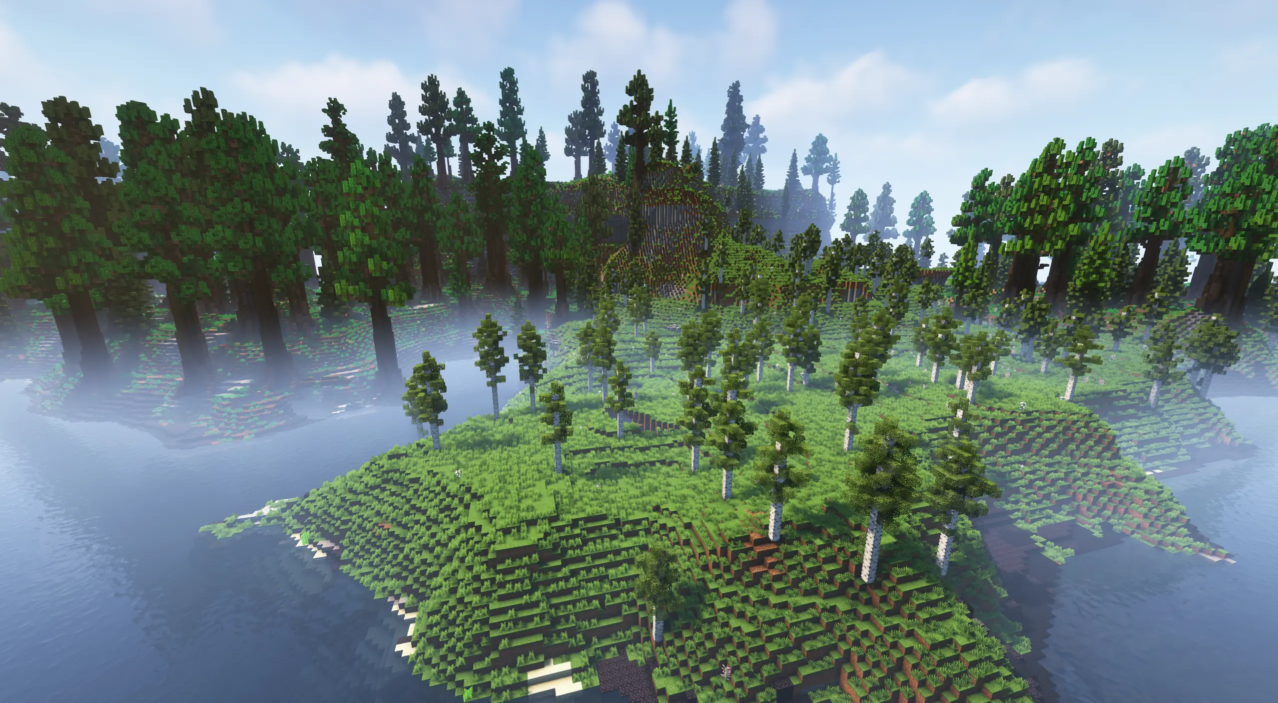 A small birch forest on an Altaath peninsula